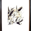Clematis Armandii 1 by Merri Lawrence Framed