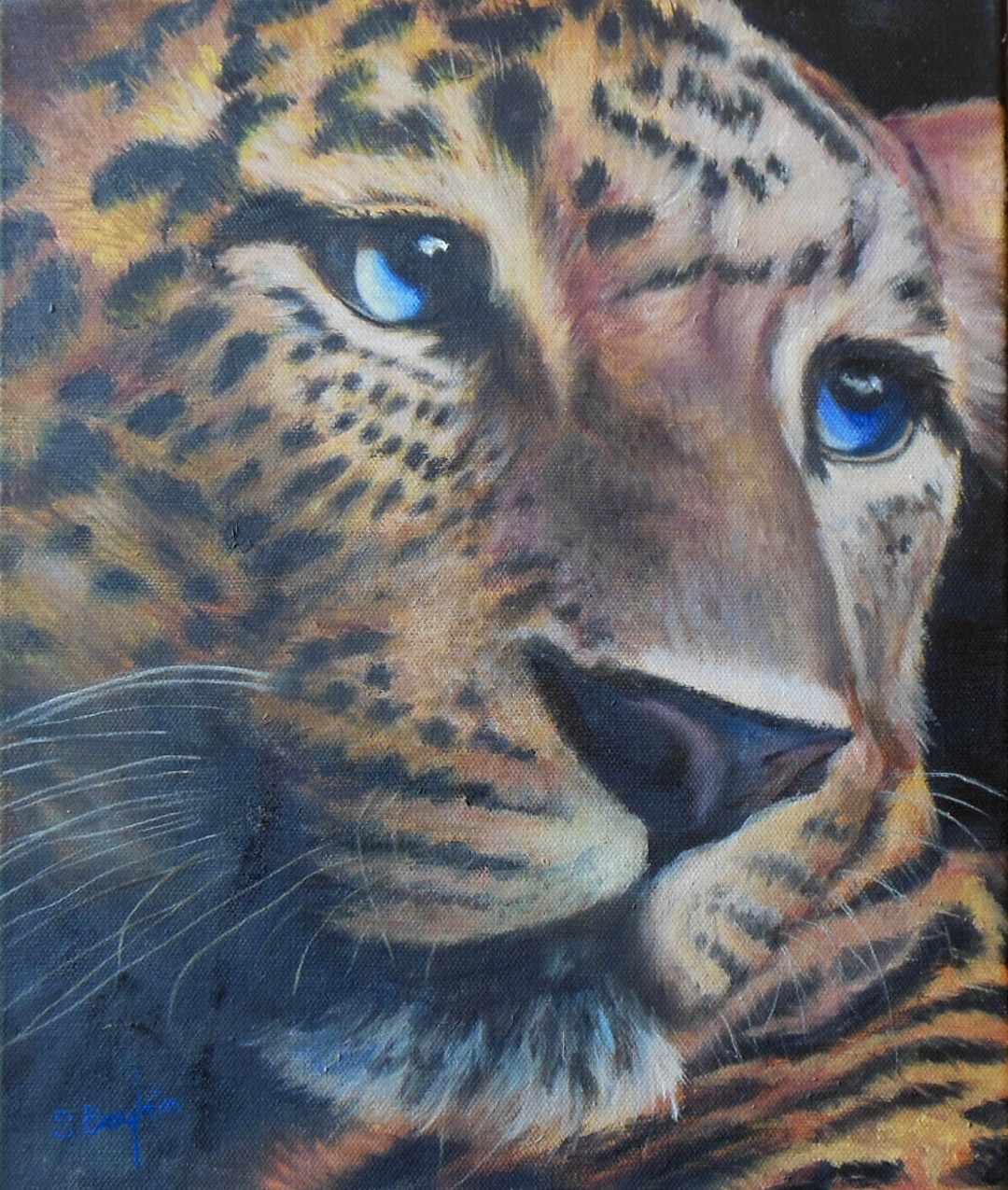 The Leopard by Steve Boykin