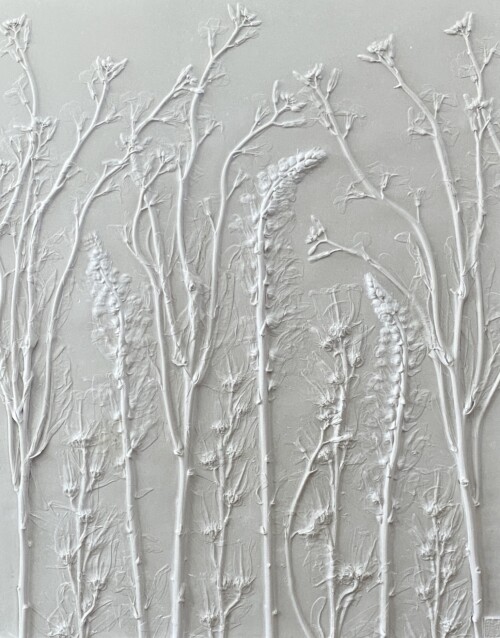 Looking Through The Veil