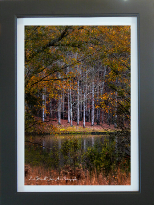 Autumn Portal by Lori Harrell framed