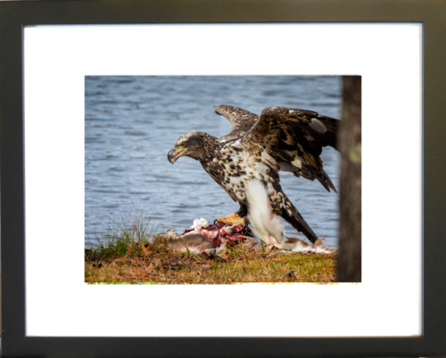 Dinner is Served by Lori Harrell framed