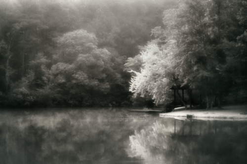 Lothlórien by Lori Harrell