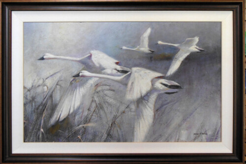 Pamlico Sound by John Wilson