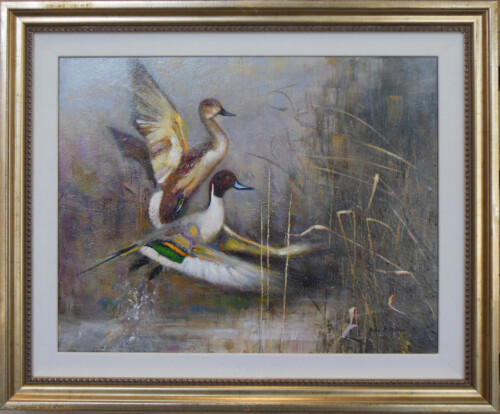 Pintail Mates by John Wilson