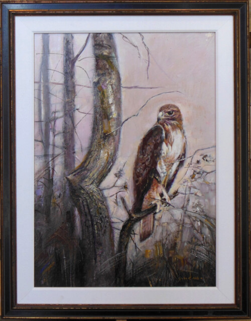 Red-tailed Hawk by John Wilson