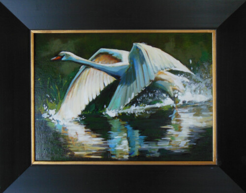 Take off by Cindy Fulks