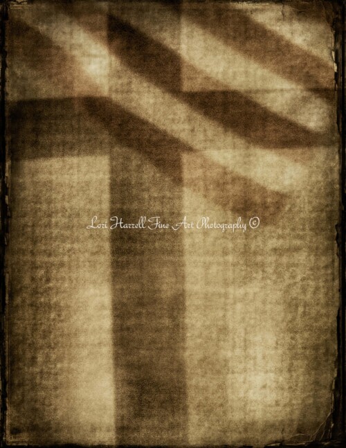 Set Them Free by Lori Harrell