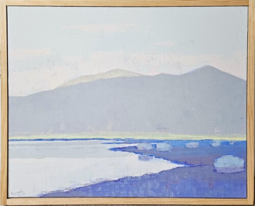 Alaskan Summer By Vinayak Godbole