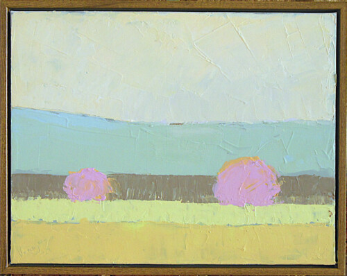 Georgia Plums by Vinayak Godbole